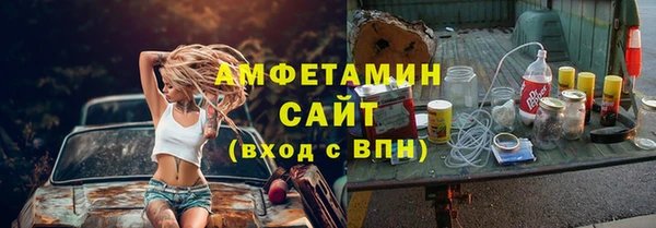 шишки Богородицк